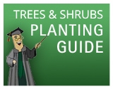 Trees & Shrubs Planting Guide