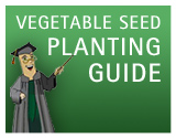 Vegetable Seed Planting Guide